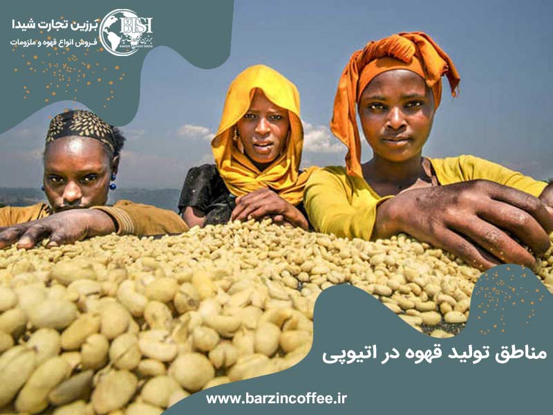 مناطق تولید قهوه اتیوپی